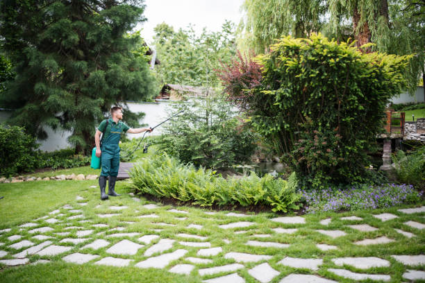 Best Pest Removal Services  in Breckenridge, MN