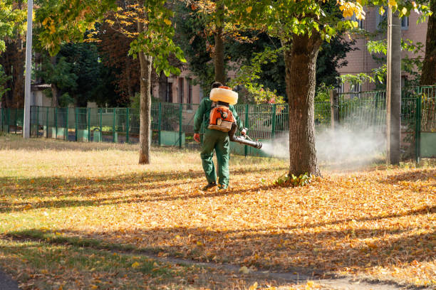 Best Rat Extermination Near Me  in Breckenridge, MN