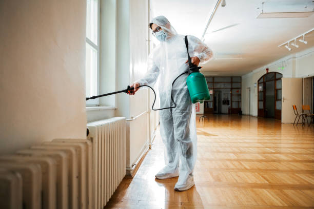 Best Affordable Pest Control Services  in Breckenridge, MN