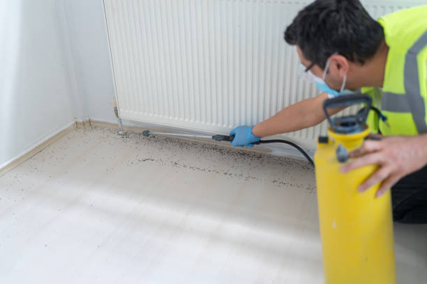 Best Pest Control for Businesses  in Breckenridge, MN