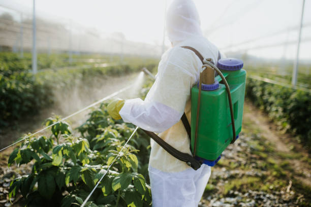 Best Pest Control Treatment  in Breckenridge, MN